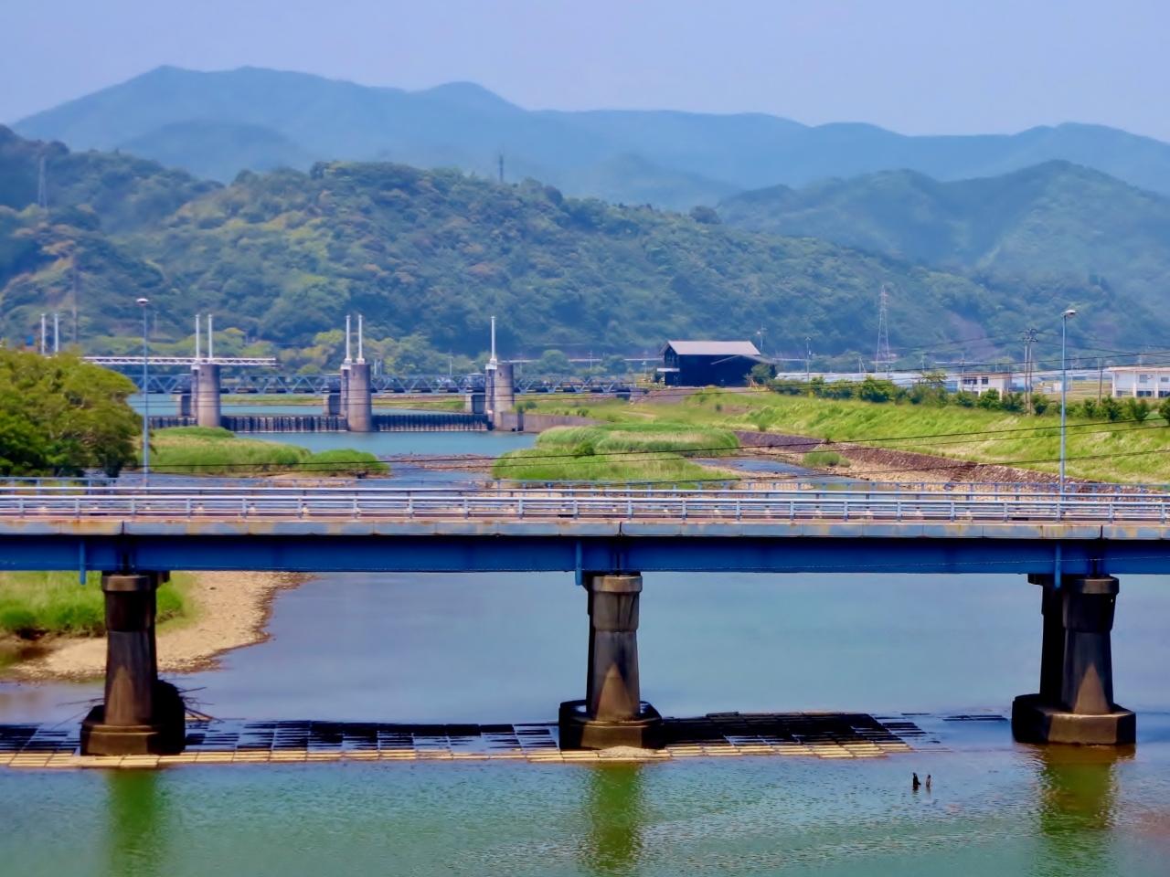 四万十川 2 まぼろしのアカメをアカメ館で観察 清流の主役いつまでも 中村 四万十川周辺 高知県 の旅行記 ブログ By マキタン２さん フォートラベル