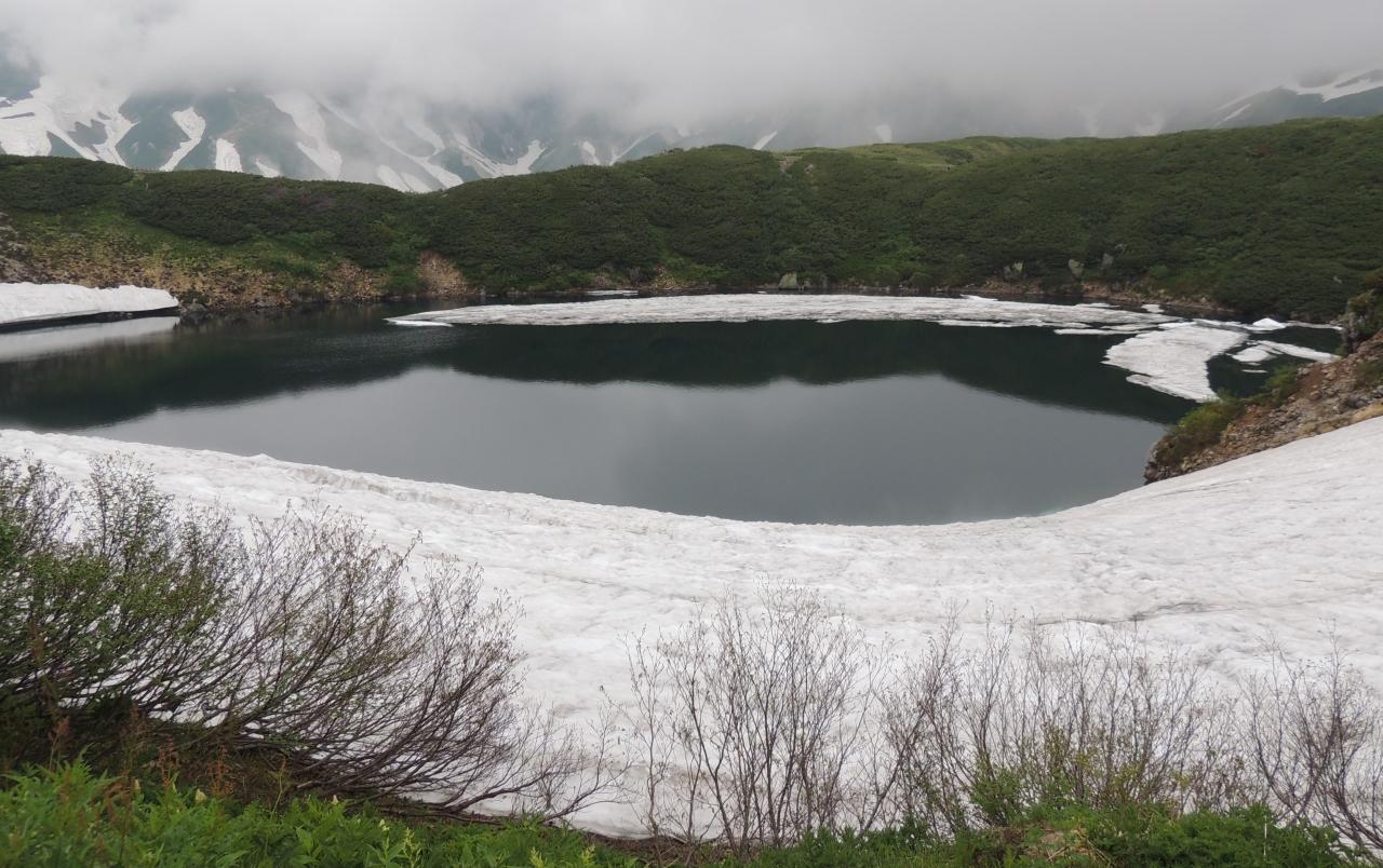 弥陀ヶ原 現地自然観察ツアー 立山黒部 富山県 の旅行記 ブログ By Fluegelさん フォートラベル