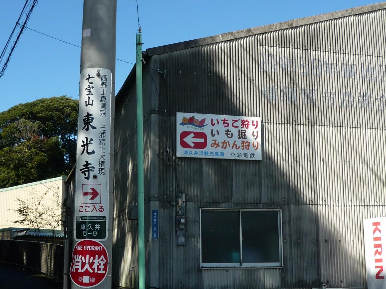 三浦富士から 津久井浜観光農園でみかん狩りのハイキング 横須賀 神奈川県 の旅行記 ブログ By Kabakabachanさん フォートラベル