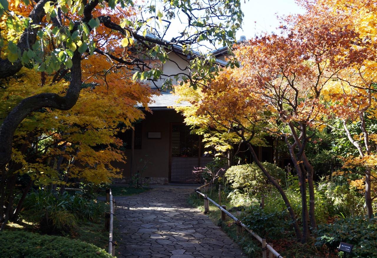林芙美子記念館と目白庭園を訪ねて 新宿 東京 の旅行記 ブログ By 愛吉さん フォートラベル