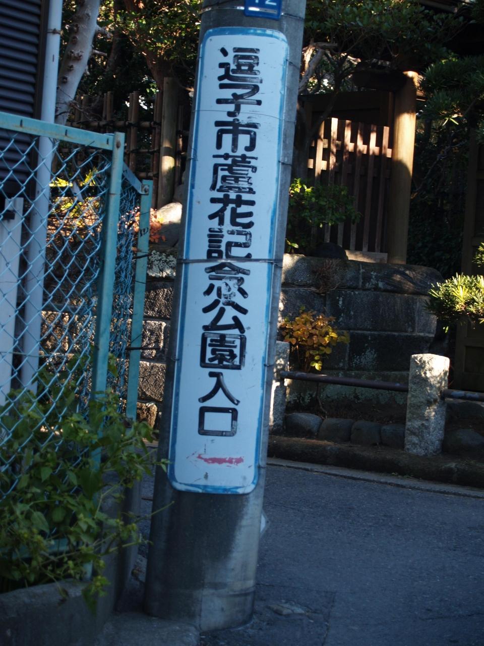 蘆花記念公園野外活動センター 逗子市桜山8 逗子 葉山 神奈川県 の旅行記 ブログ By ドクターキムルさん フォートラベル