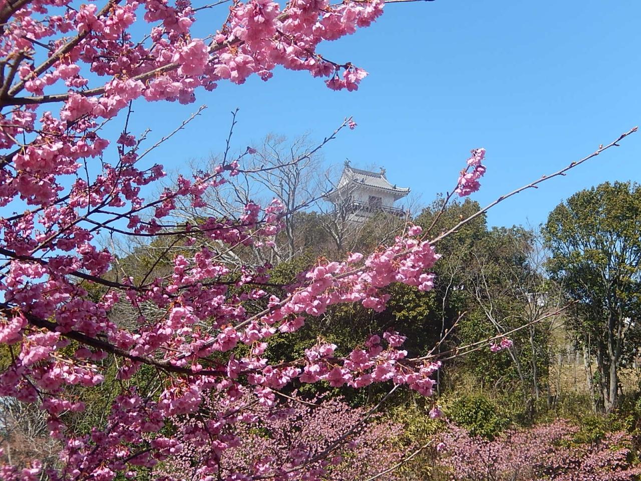 念願かなって掛川城を訪問する 掛川城公園 掛川 静岡県 の旅行記 ブログ By Tsunetaさん フォートラベル