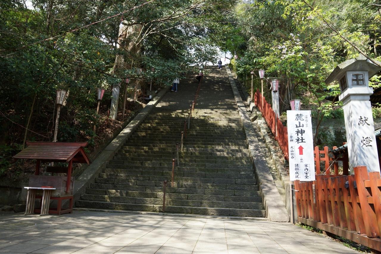 浅間神社 静岡 花見 ほぼ初見 静岡市 葵区 駿河区 静岡県 の旅行記 ブログ By Yasuさん フォートラベル