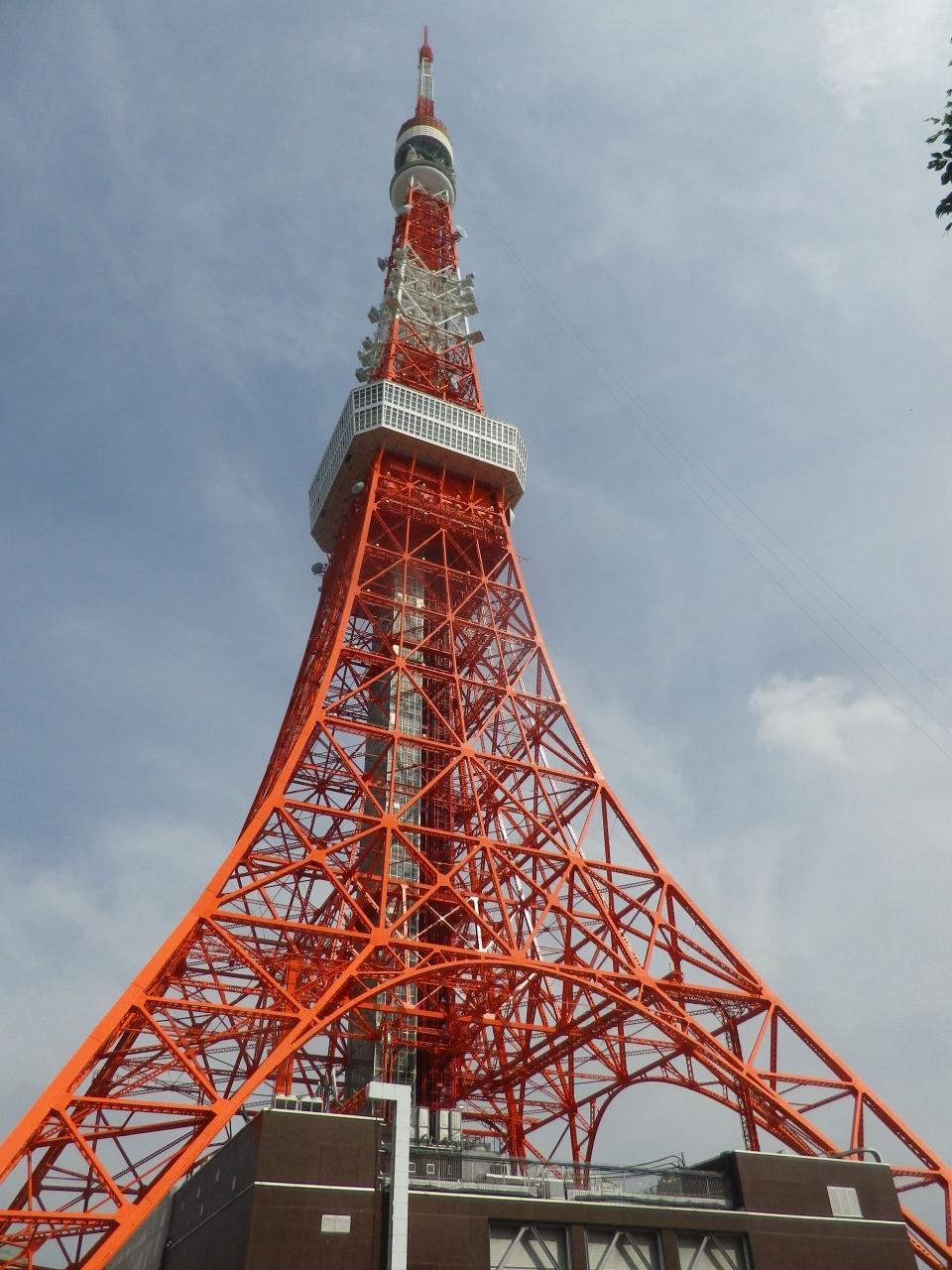 東京タワーの1階にある東京タワー水族館見物 三田 田町 芝浦 東京 の旅行記 ブログ By タビガラスさん フォートラベル