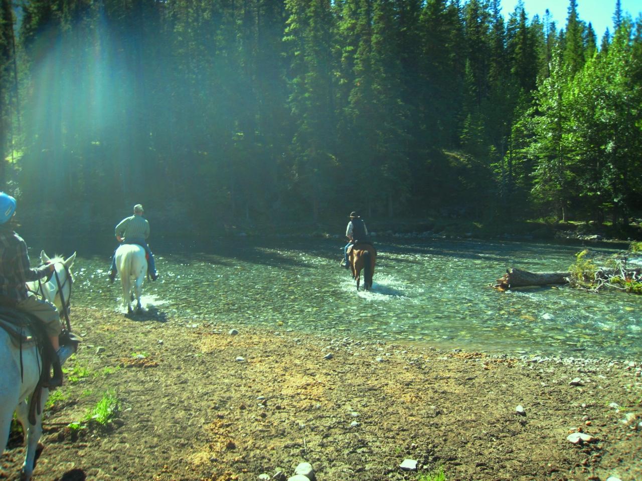馬の背に揺られてバンフを散歩 Horseback Riding In Banff Canada 11才女子 英語圏での乗馬に初挑戦 バンフ カナダ の旅行記 ブログ By ウェンディさん フォートラベル