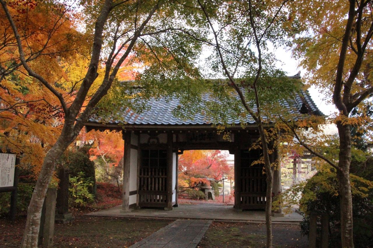 Hozo-ji Beautiful Contrast between the Main Gate and Autumn Leaves!