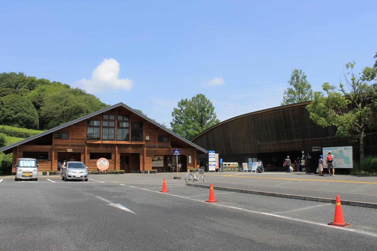 埼玉 東松山 森林公園周辺プチドライブ 東松山 埼玉県 の旅行記 ブログ By ミケたそチャンネル 名前変えました さん フォートラベル
