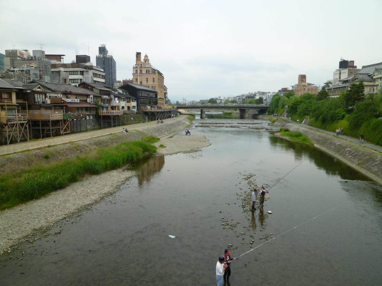 やっぱり京都 鴨川 東山 祇園 北白川 京都 の旅行記 ブログ By Matchさん フォートラベル