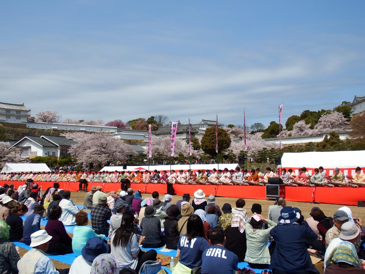 姫路城 観桜会 姫路 兵庫県 の旅行記 ブログ By ジェームズ ボンドさん フォートラベル