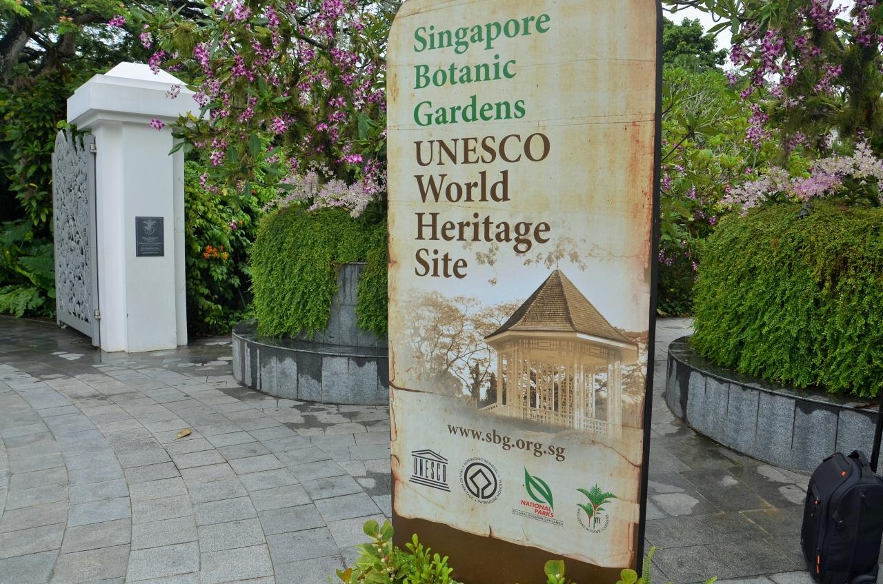 シンガポールに行ってみた3 世界遺産ボタニックガーデンを歩く オッサンネコの一人旅 シンガポール シンガポール の旅行記 ブログ By Morisukeさん フォートラベル