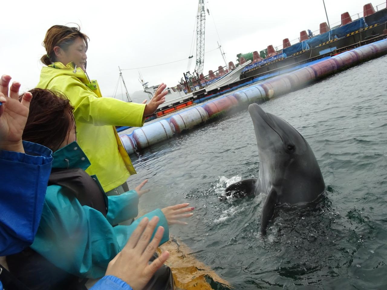 伊豆一泊２日 伊東でイルカとふれあい編 伊東温泉 静岡県 の旅行記 ブログ By Mai さん フォートラベル