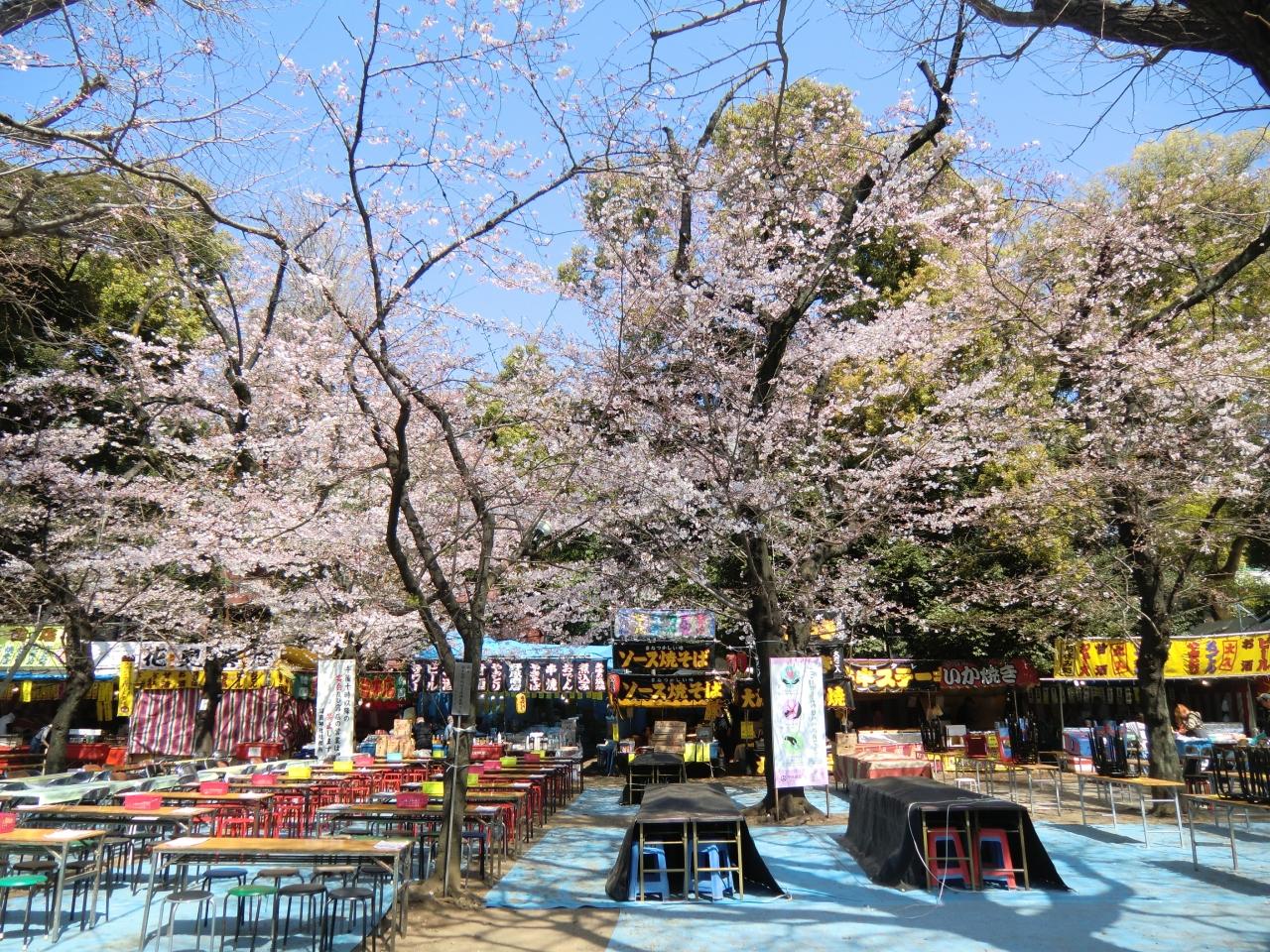 16年3月 満開直前の桜 九段下 千鳥ヶ淵 靖国神社 東京の旅行記 ブログ By たぁ坊さん フォートラベル