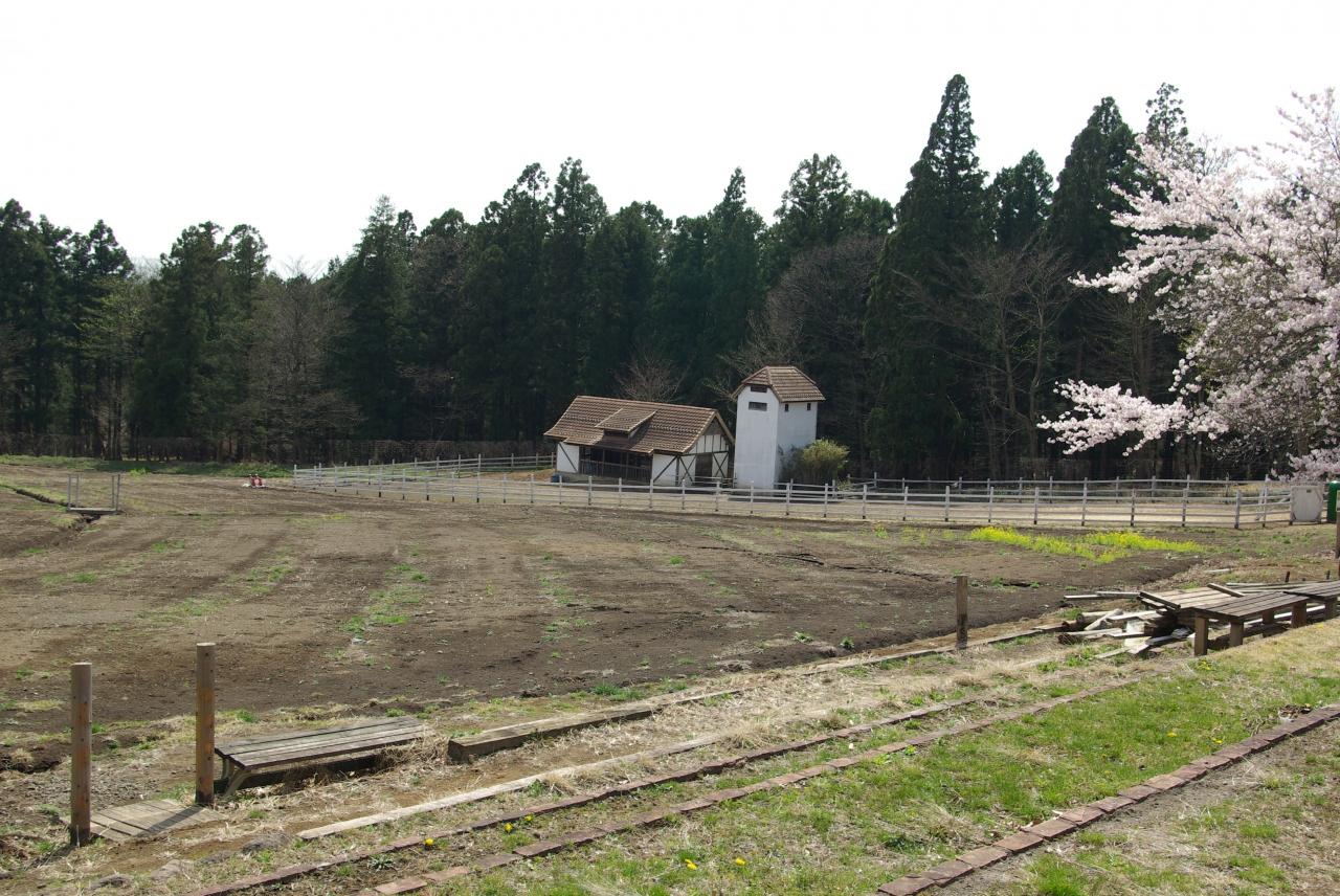 ドイツの街並みと楽しい牧場が待つ 赤城クローネンベルク 群馬県ですよ 前橋 群馬県 の旅行記 ブログ By ミズ旅撮る人さん フォートラベル