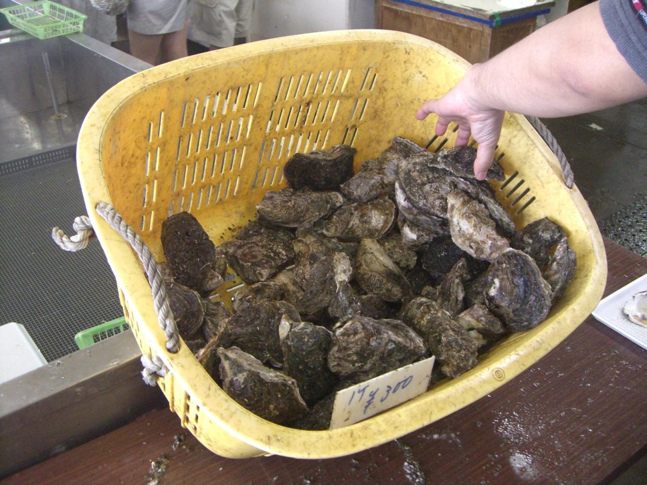 岩牡蠣を食べに銚子電鉄の旅 銚子 千葉県 の旅行記 ブログ By けんいちさん フォートラベル