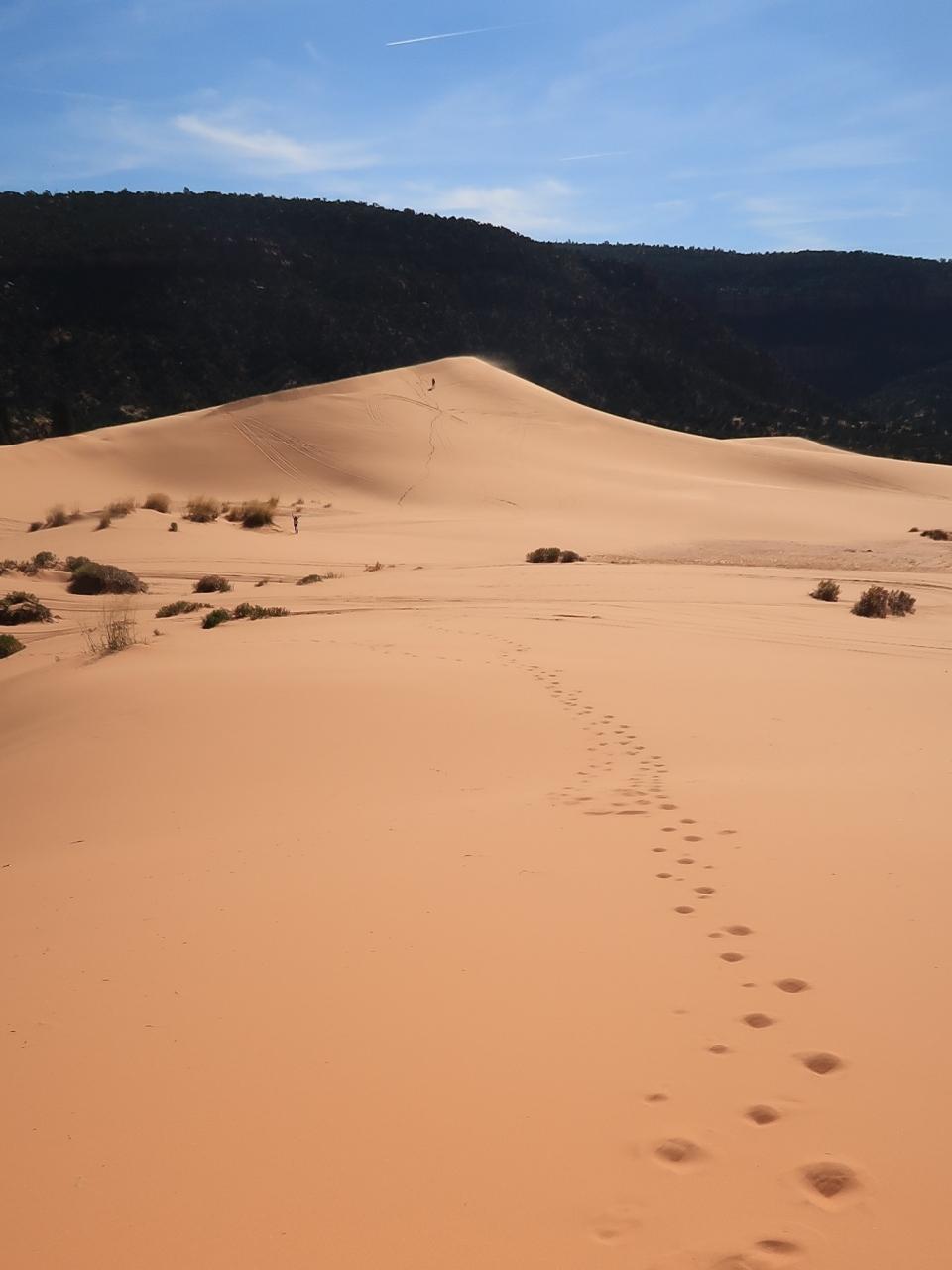 アメリカ西部17 コーラルピンクサンドデューンズ探訪 砂漠地帯の砂丘を歩く ブライスキャニオン国立公園周辺 アメリカ の旅行記 ブログ By マキタンさん フォートラベル