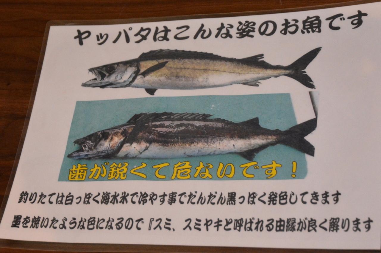 伊東温泉 寿司 海鮮地魚料理 さかな倶楽部たっぱん 旧浜善の板さんが 