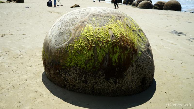 海にあわられたミステリー 伝説の球体奇岩 モエラキボルダー その他の都市 ニュージーランド の旅行記 ブログ By Riverwillさん フォートラベル