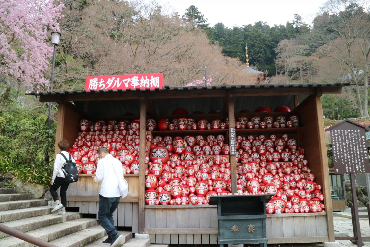 勝尾寺のさくら 箕面 大阪 の旅行記 ブログ By Juriaさん フォートラベル