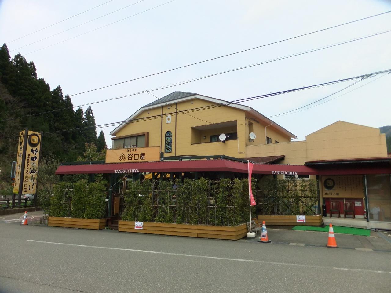 竹田の里しだれ桜祭りと丸岡城夜桜 永平寺 丸岡 福井県 の旅行記 ブログ By Miyatanさん フォートラベル