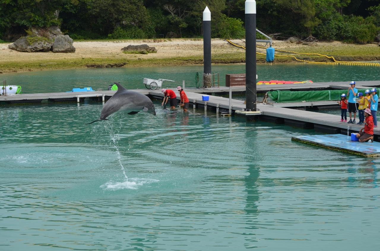 17 春 沖縄 ファミリー旅 3日目 もとぶ元気村 イルカ 乗馬 美ら海 本部 今帰仁 沖縄県 の旅行記 ブログ By ロビンさん フォートラベル