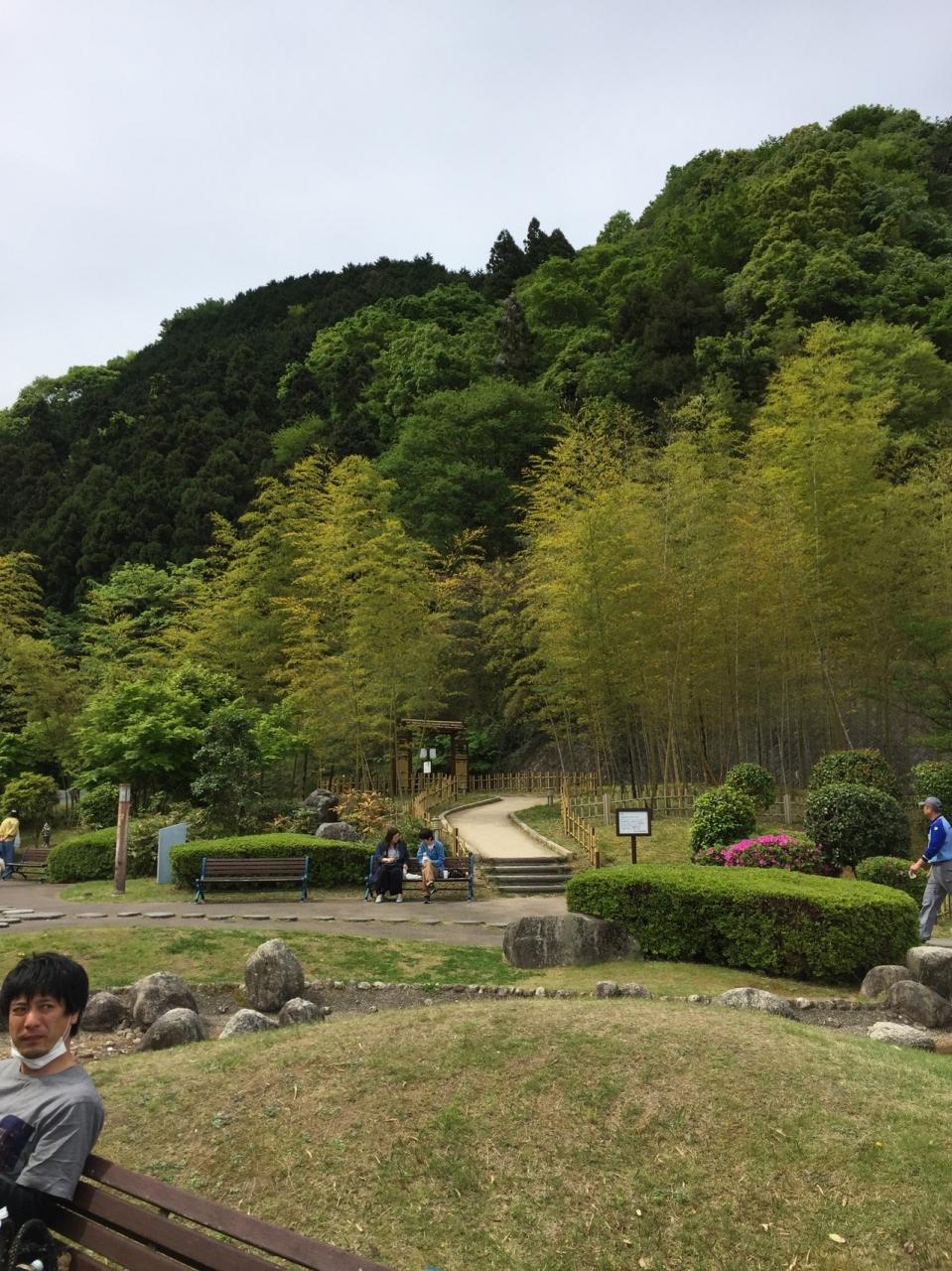 バンガロー 鳴滝