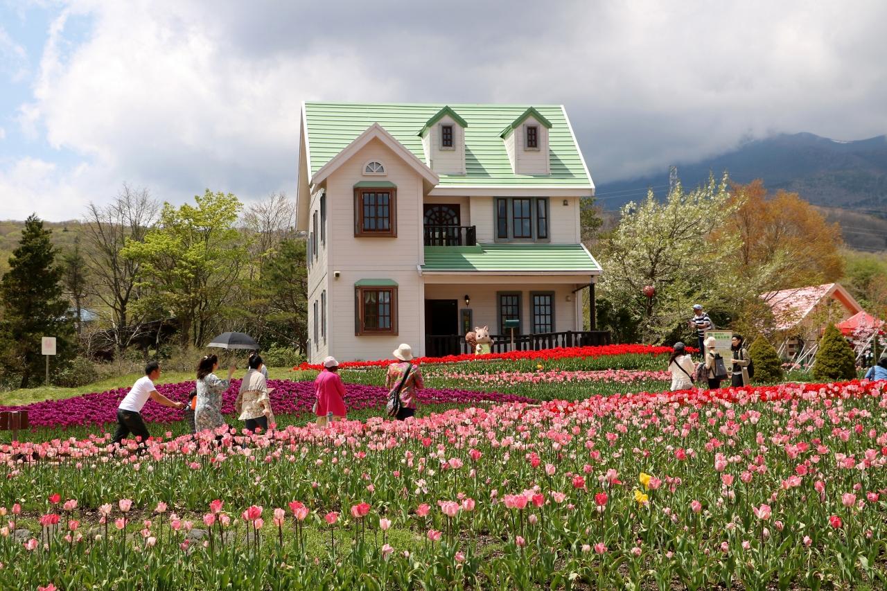 天空の花畑 チューリップが見頃に 裾野 長泉 静岡県 の旅行記 ブログ By Oakatさん フォートラベル