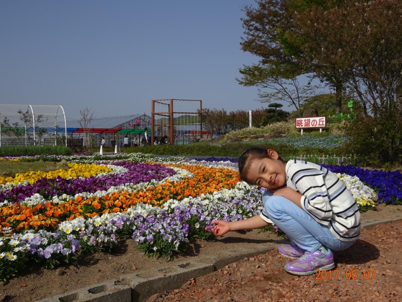 秋田県由利本荘市 にしめ道の駅 と ハーブワールドakita 2 鳥海 由利 秋田県 の旅行記 ブログ By けいたろうさん フォートラベル
