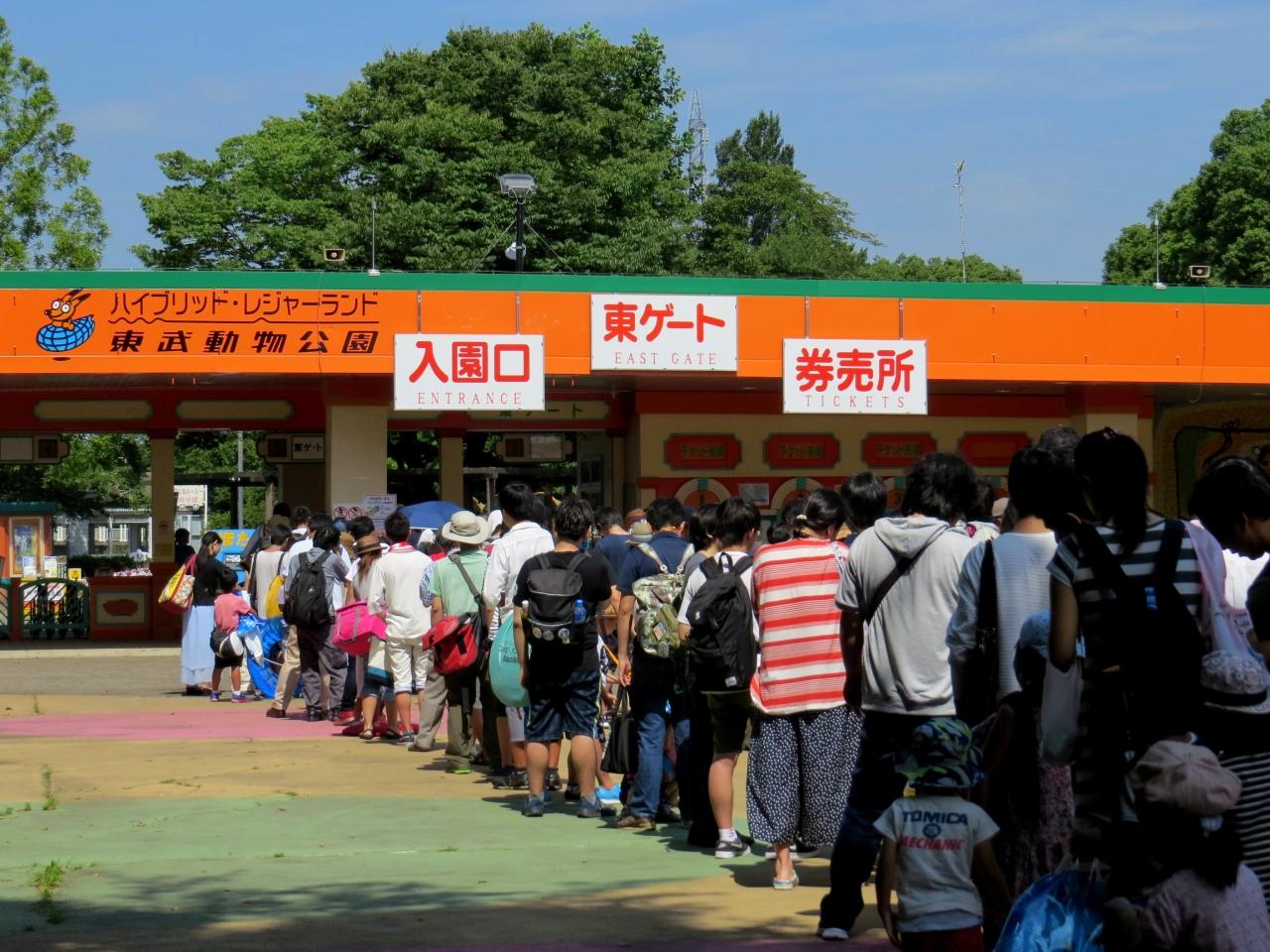 夏のレッサーパンダ紀行 ２ 東武動物公園 猛暑 １年半ぶりの東武zooでココロちゃんに会いました 蓮田 白岡 埼玉県 の旅行記 ブログ By Jilllucaさん フォートラベル