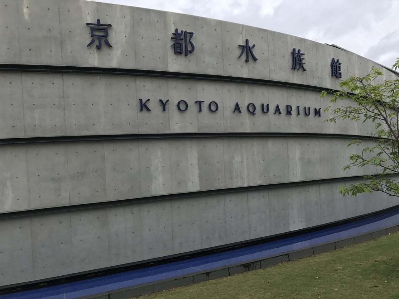 ぶらりと子連れお出かけ 京都水族館編 京都の旅行記 ブログ By ときどき旅行さん フォートラベル