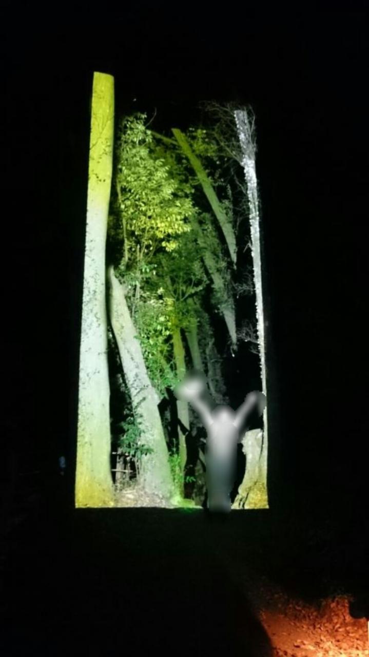 かみさまがすまう森のアート展 武雄 多久 佐賀県 の旅行記 ブログ By さるくさん フォートラベル
