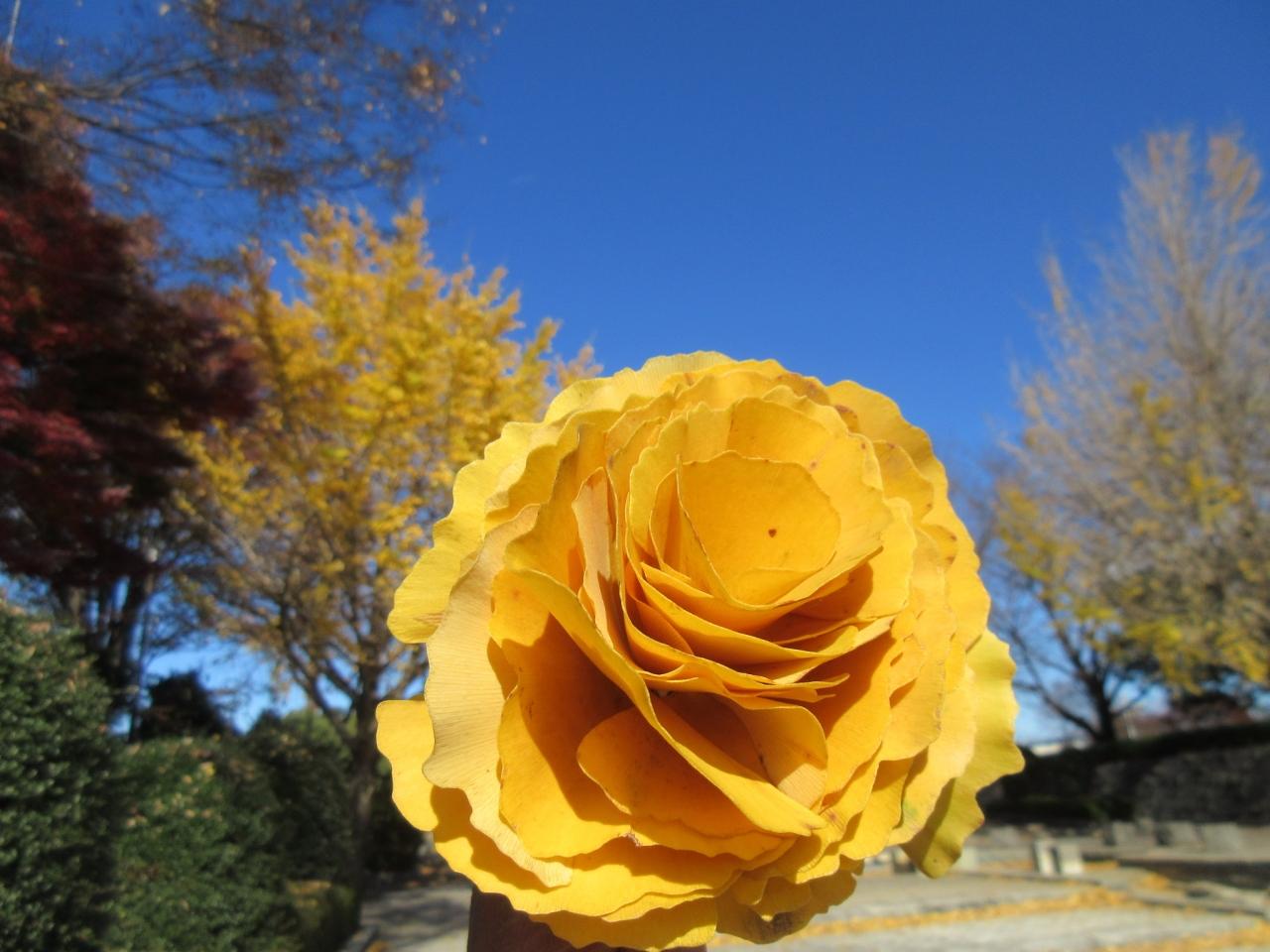 前橋総合運動公園 冬が急襲 前橋 群馬県 の旅行記 ブログ By Okushitwさん フォートラベル