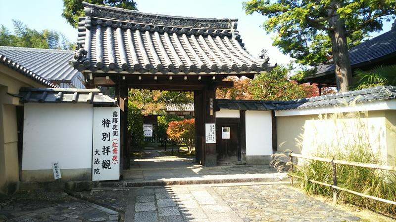 京都の紅葉 妙心寺大法院編 17年 今出川 北大路 北野 京都 の旅行記 ブログ By 鴨川の夕立 さん フォートラベル