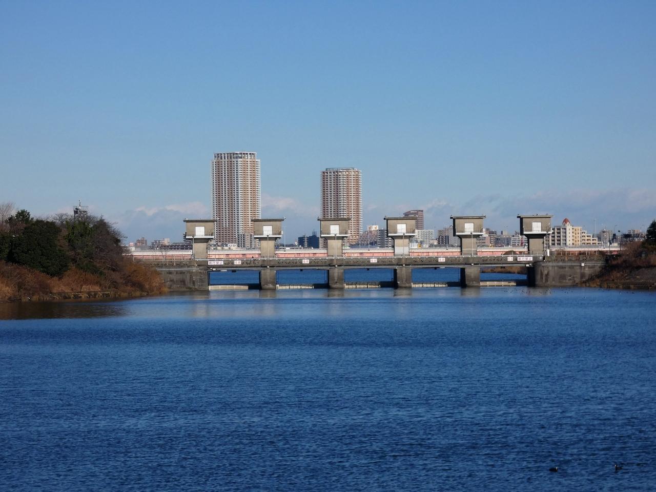 千葉と東京のウオーターフロント旧江戸川を歩く 浦安 千葉県 の旅行記 ブログ By Docanドカンさん フォートラベル