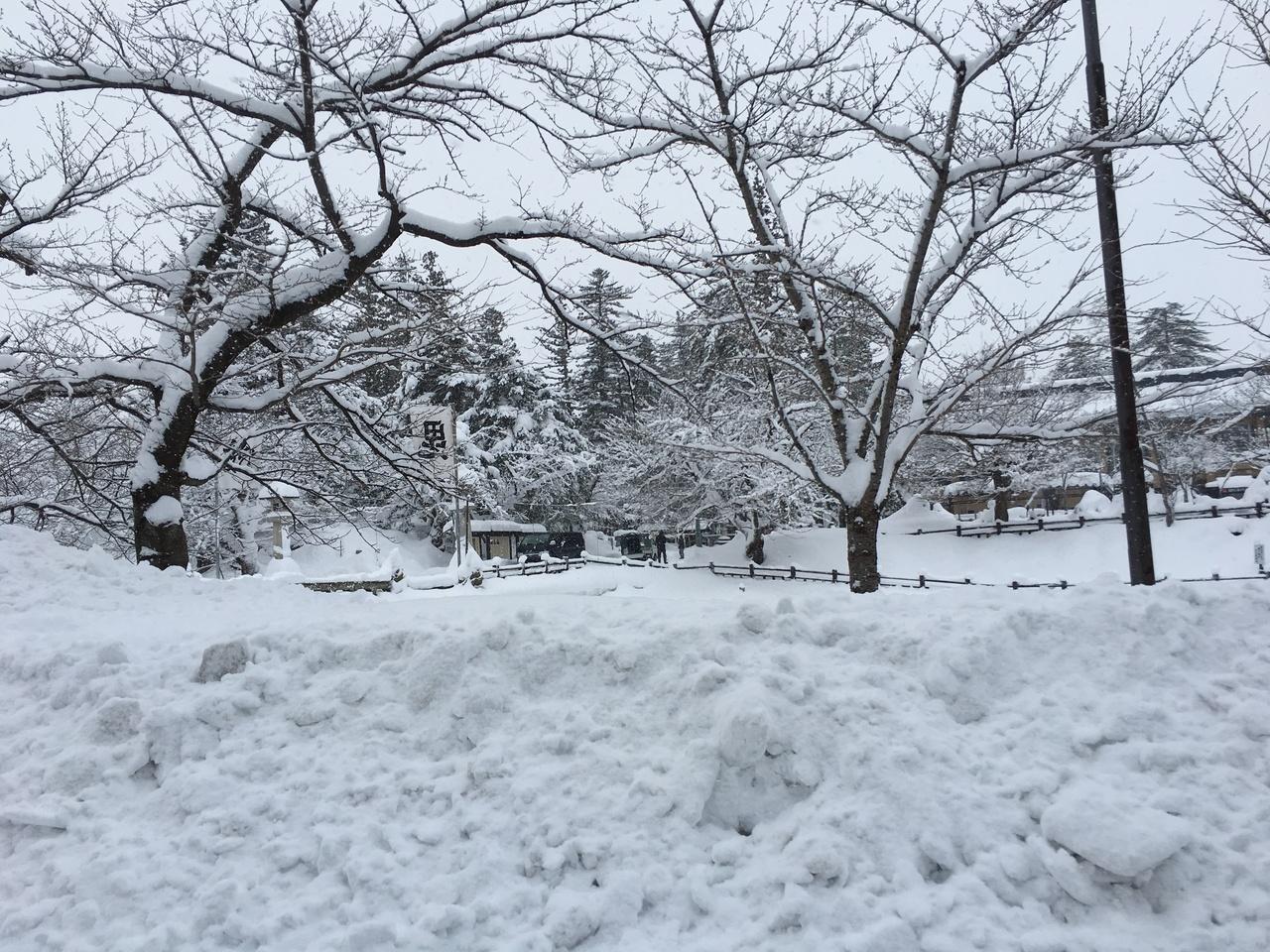 情報 システム 県 雪 山形