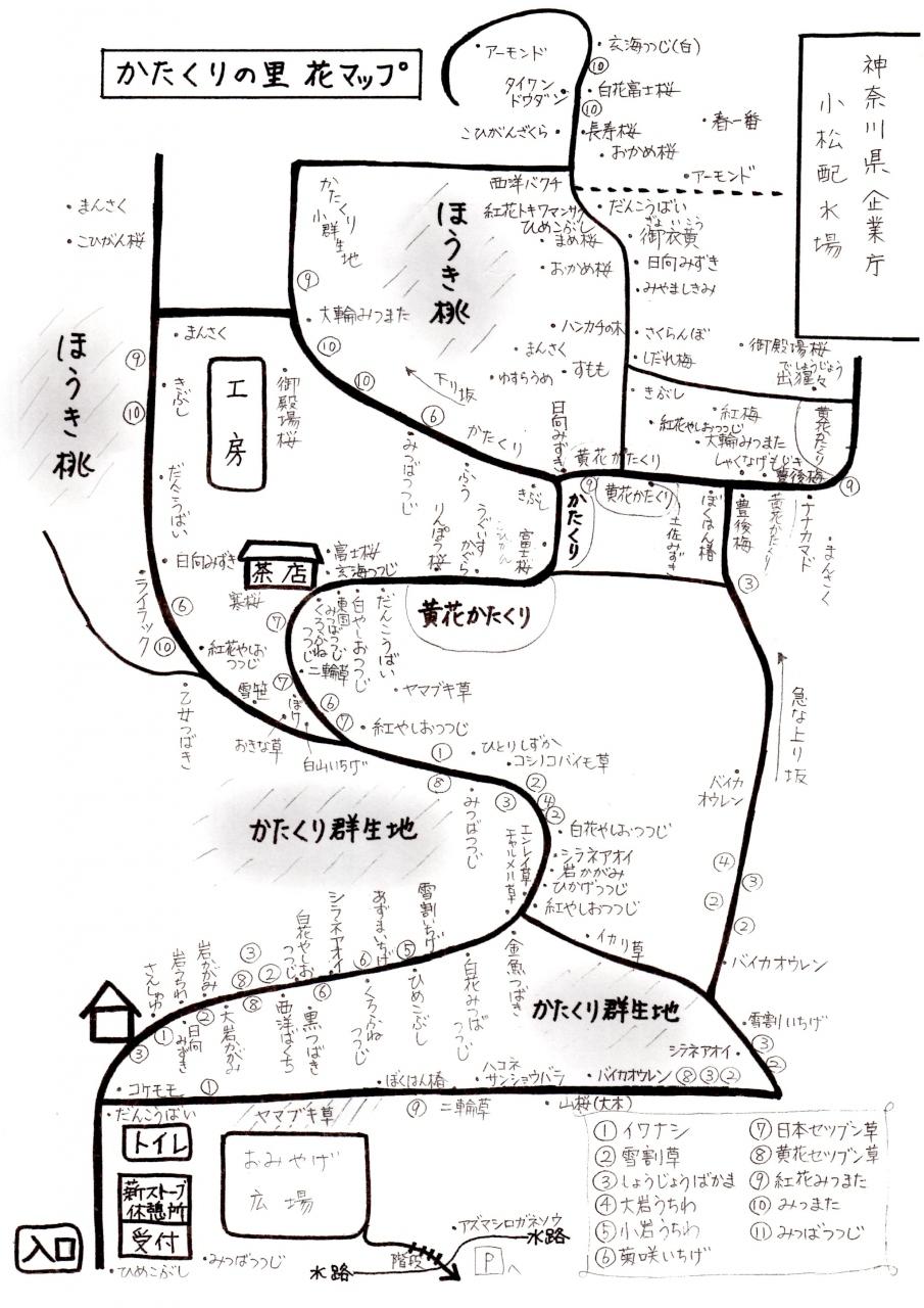 春の妖精に逢いに 城山かたくりの里 相模原 神奈川県 の旅行記 ブログ By Morino296さん フォートラベル