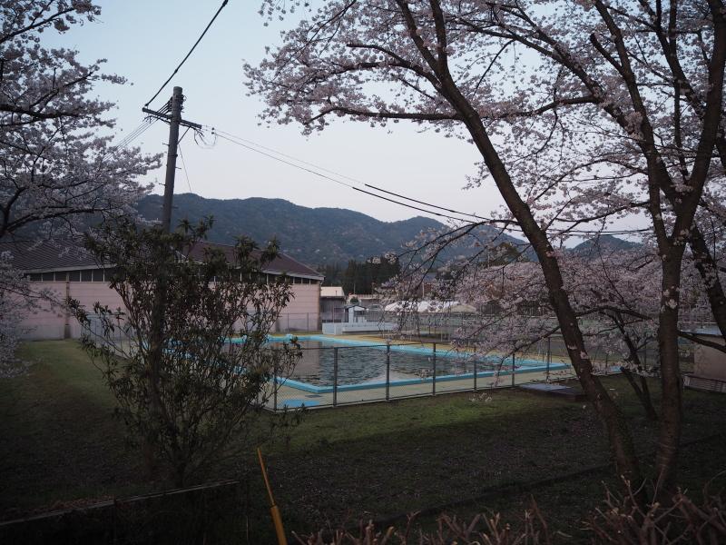 18年3月 立岡 たちおか 自然公園へ花見に行ってきました 夜桜観賞 宇土 三角 熊本県 の旅行記 ブログ By Umiさん フォートラベル