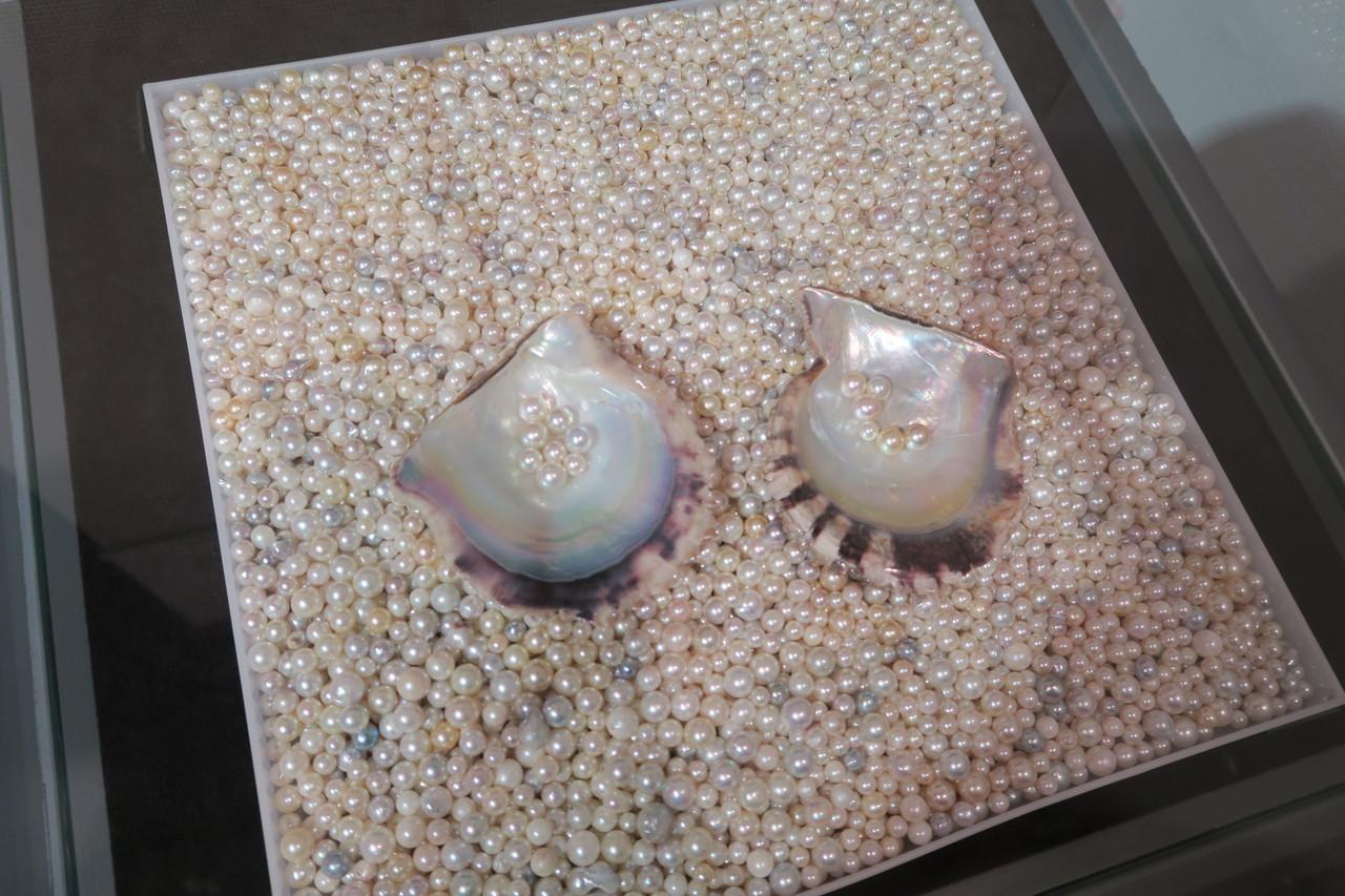 18 妻は元気でミキモト真珠島 鳥羽 三重県 の旅行記 ブログ By カメラちゃんさん フォートラベル