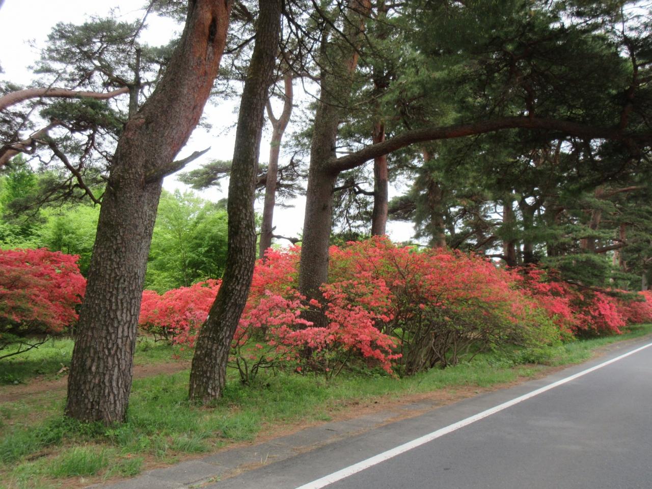 赤城の秘湯 ドキドキ 赤城山周辺 群馬県 の旅行記 ブログ By Okushitwさん フォートラベル