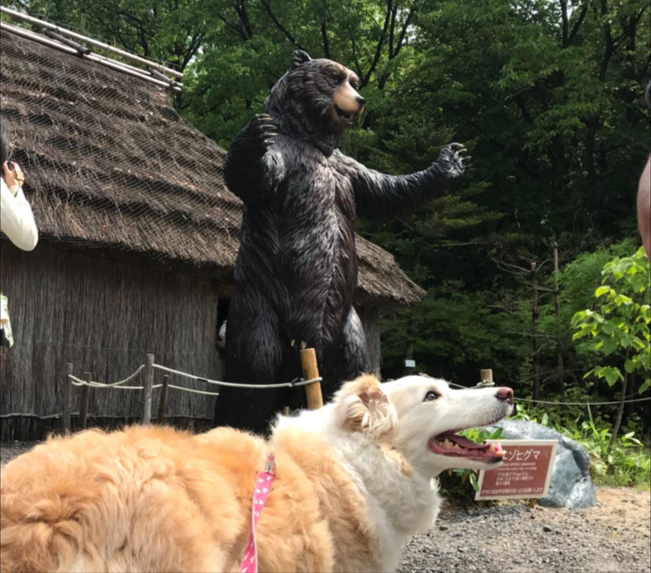 Gwにリトルワールド 愛犬と共に 犬山 愛知県 の旅行記 ブログ By えりおさん フォートラベル