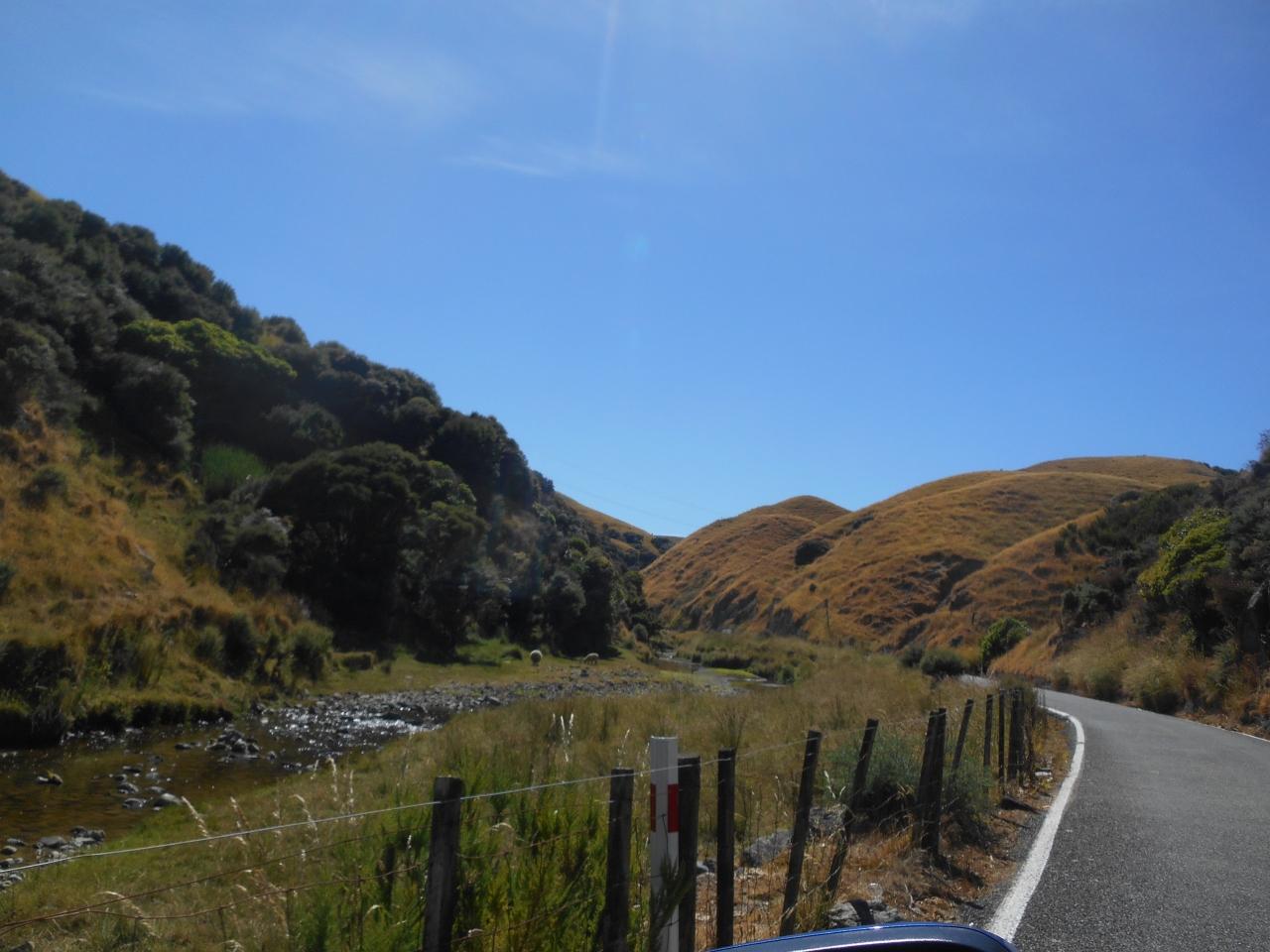 ニュージーランド周遊 4 Wellington Byプリンセスクルーズ ウェリントン ニュージーランド の旅行記 ブログ By Arinkoさん フォートラベル