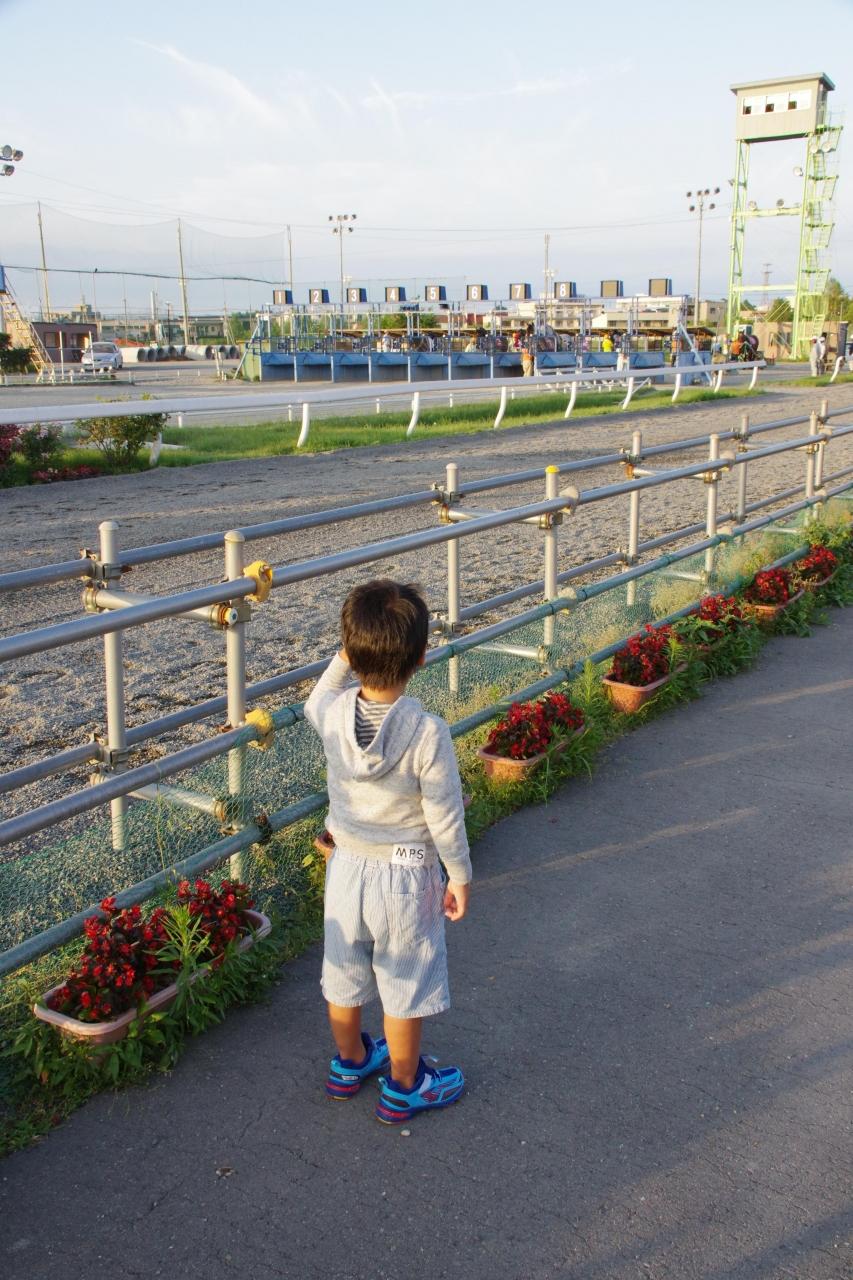 夏の子連れ北海道旅行 前半 帯広 富良野 北海道の旅行記 ブログ By さとうさんさん フォートラベル