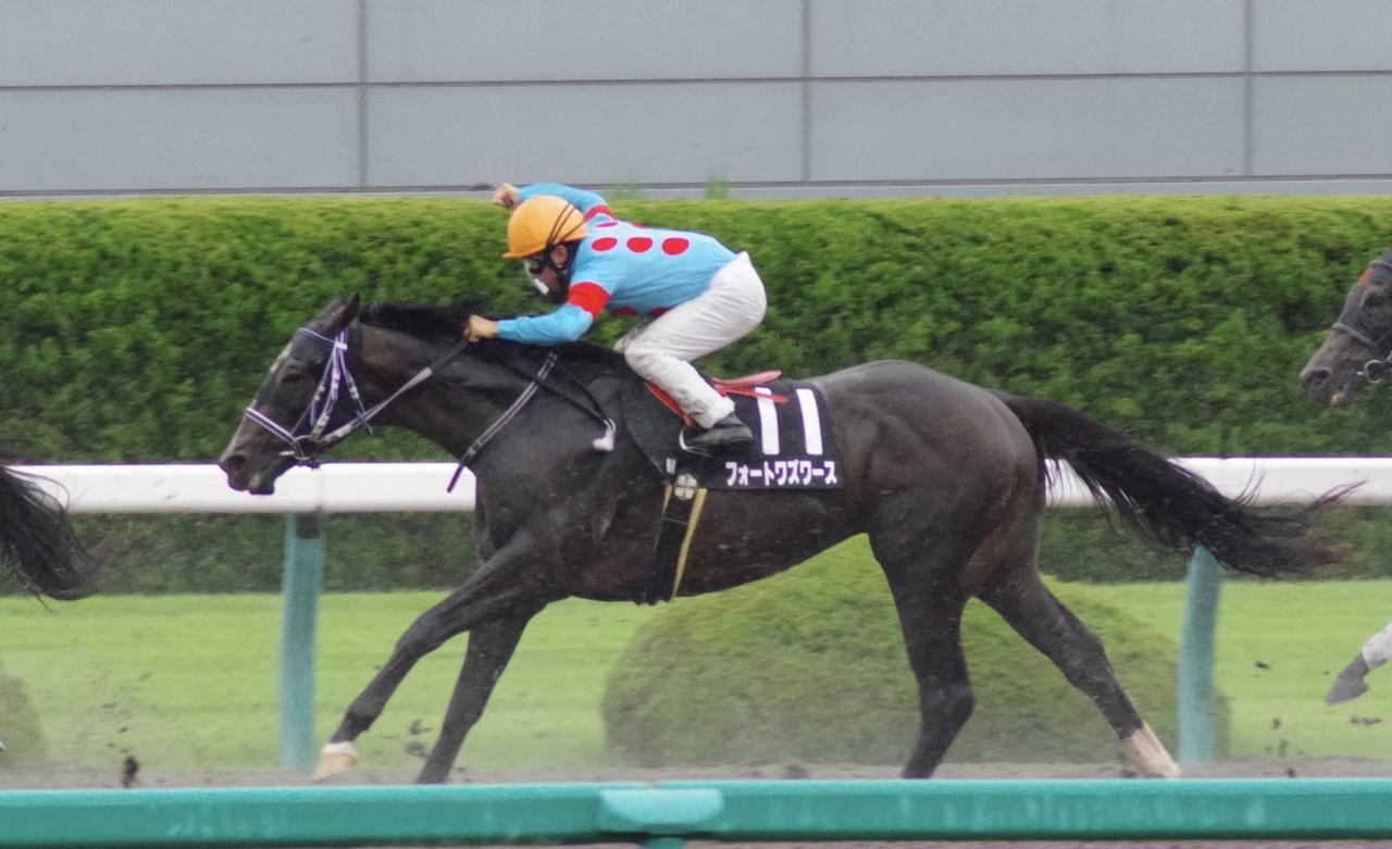 阪神競馬場 出資馬応援遠征 宝塚 兵庫県 の旅行記 ブログ By Shimaさん フォートラベル