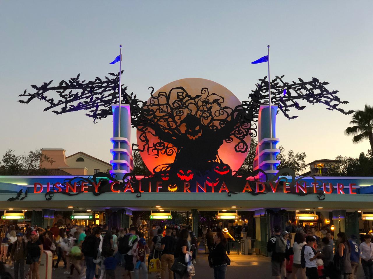 初めてのカリフォルニアディズニー プラザイン ディズニーランド編 アナハイム アメリカ の旅行記 ブログ By みこさん フォートラベル