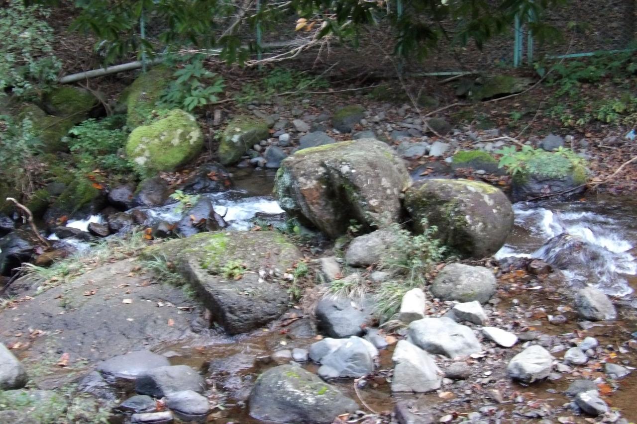 日向渓谷 伊勢原 神奈川県 の旅行記 ブログ By ドクターキムルさん フォートラベル