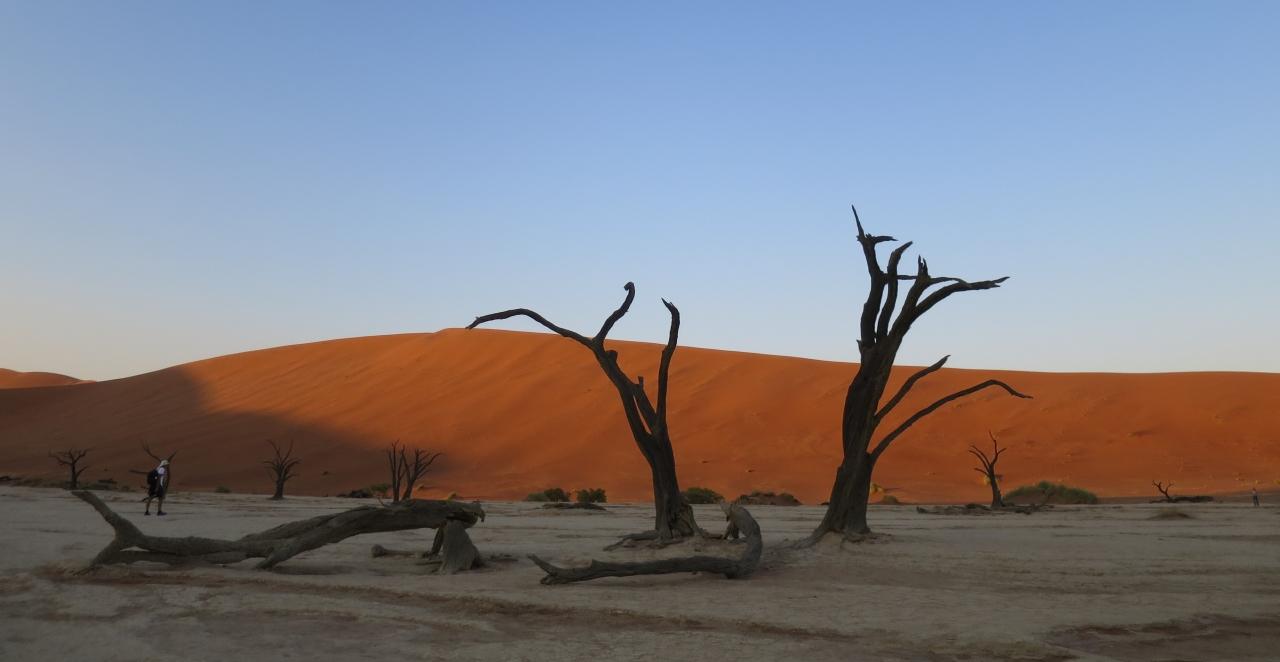 ナミビアに感動 8日目 ナミブ砂漠周辺 ナミビア の旅行記 ブログ By Dumanorikoさん フォートラベル