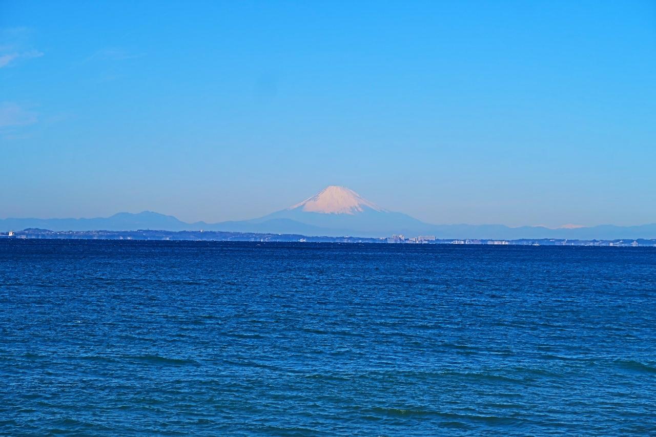 鋸南 2 保田海岸 富 士 山 東京湾越しに遠望でき アロエ花咲く浜から三浦半島も 鋸南 千葉県 の旅行記 ブログ By マキタン２さん フォートラベル