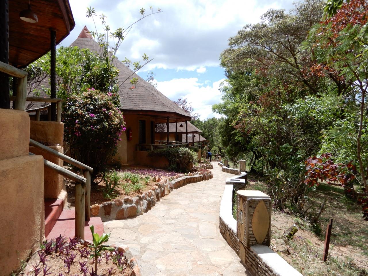 ８年ぶりのケニア4 マサイ マラ なんとなんとチーターのハンティングを見てしまった マサイマラ国立保護区周辺 ケニア の旅行記 ブログ By Angieさん フォートラベル