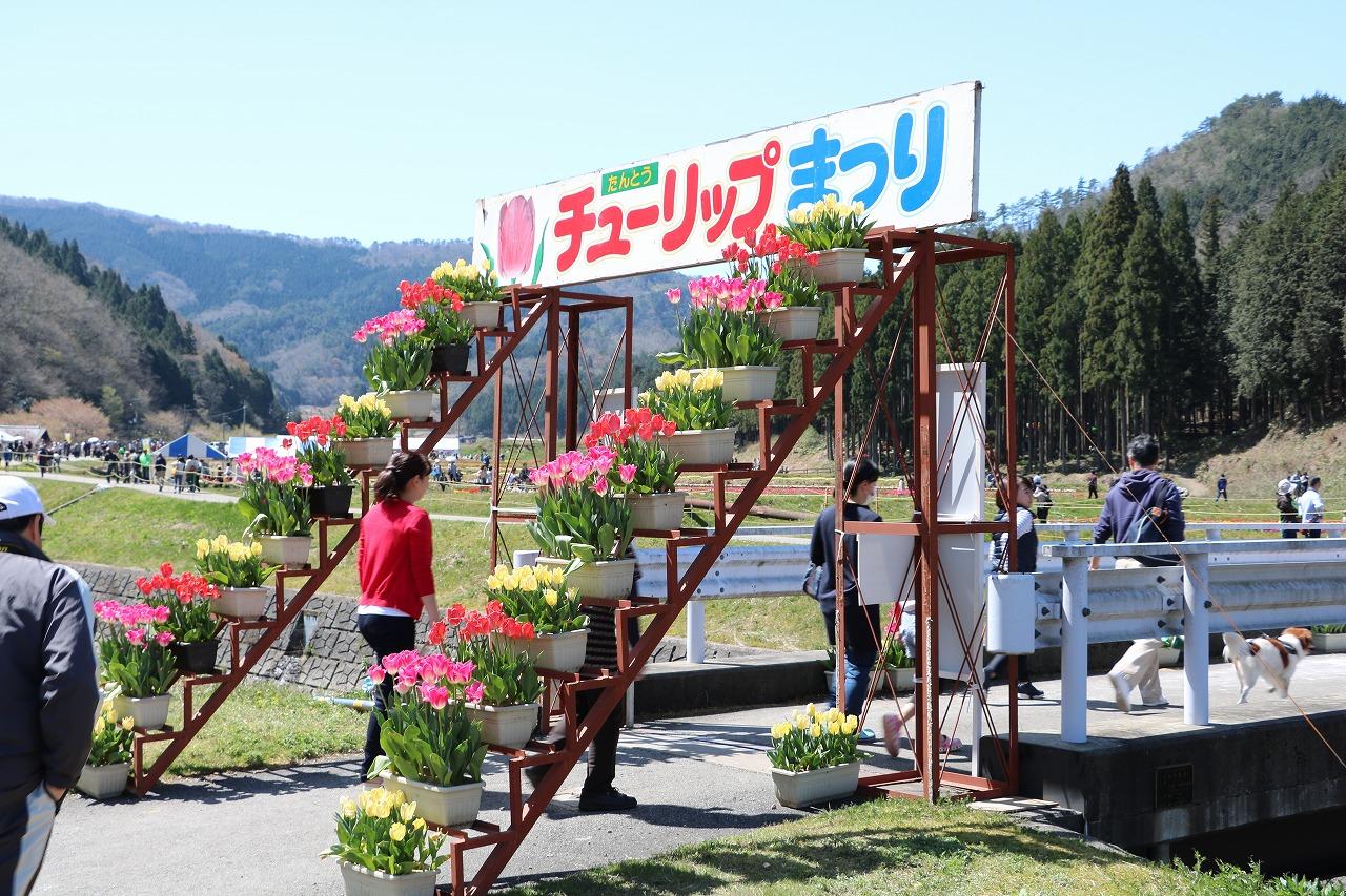 但東チューリップまつりに出かけてきました 出石 但東 兵庫県 の旅行記 ブログ By 旅好き長さんさん フォートラベル