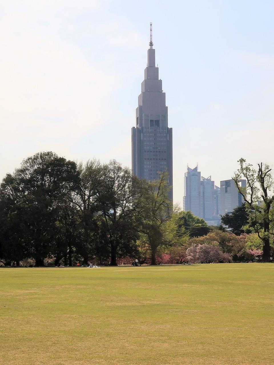 千駄ヶ谷 2 Nttドコモ代々木ビル 見え方 刻 所 変化 新宿御苑 日本庭園からも 信濃町 千駄ヶ谷 東京 の旅行記 ブログ By マキタン２さん フォートラベル