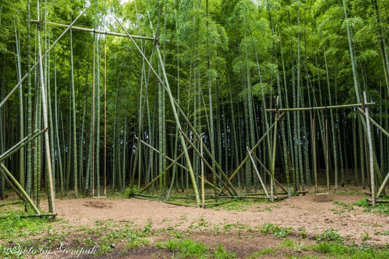 映画ロケやｃｍ撮影で重宝されている宇都宮の美竹林 宇都宮 栃木県 の旅行記 ブログ By 玄白さん フォートラベル